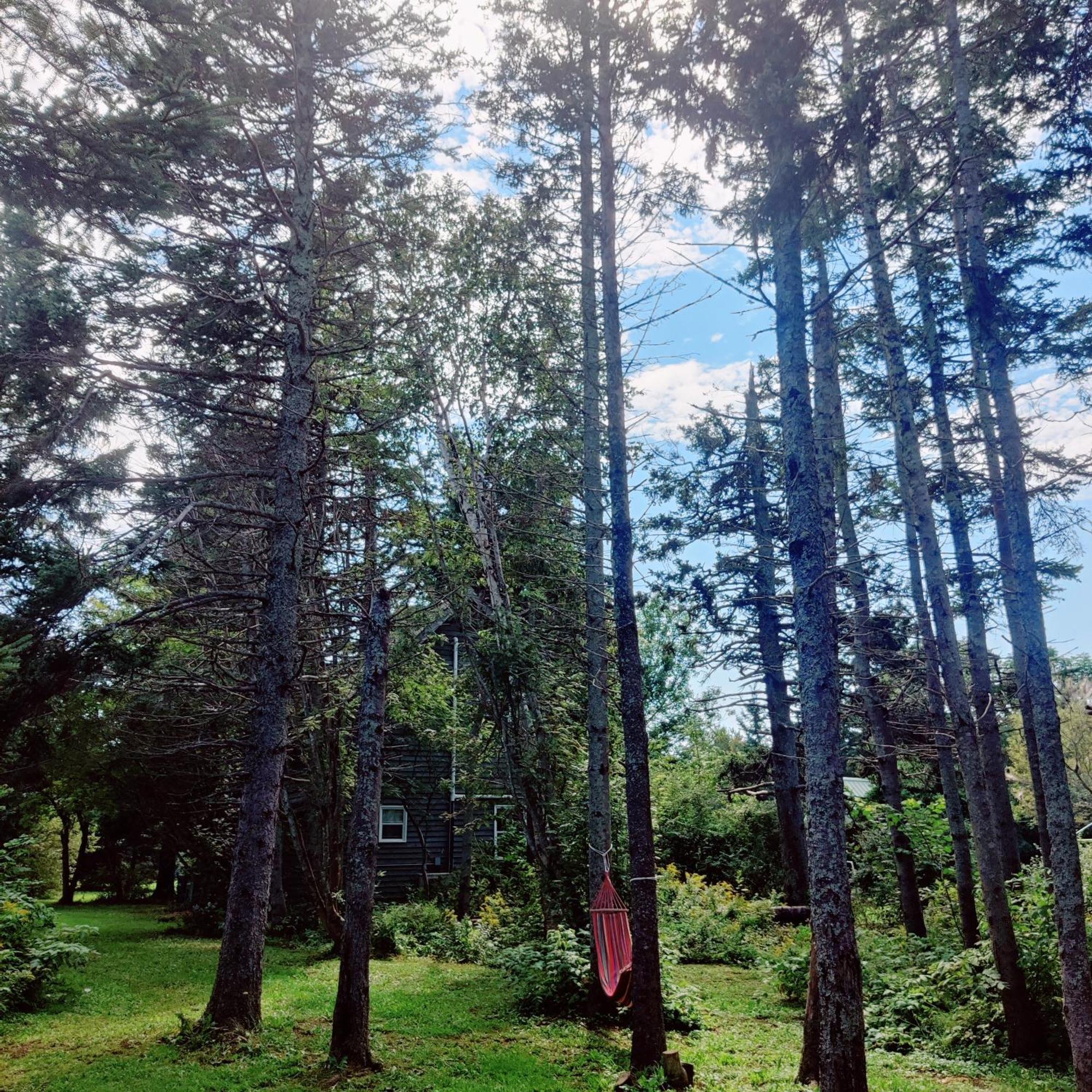 Avonlea Forest Hill Cottages New Glasgow Exteriör bild